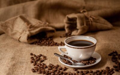 What is Specialty Coffee? Simply Explained