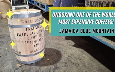Unboxing One of the World’s Most Expensive Coffees: Jamaica Blue Mountain