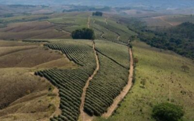 Coffee Origins Unpacked (Part 1): Where Does Coffee Come From?