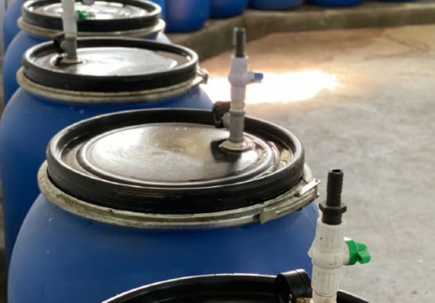 Coffee Processing, Anaerobic Fermentation